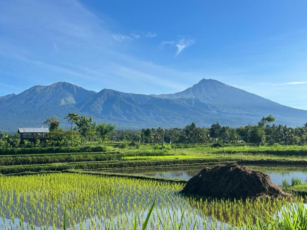 New Rinjani Homestay Tetebatu Exterior photo