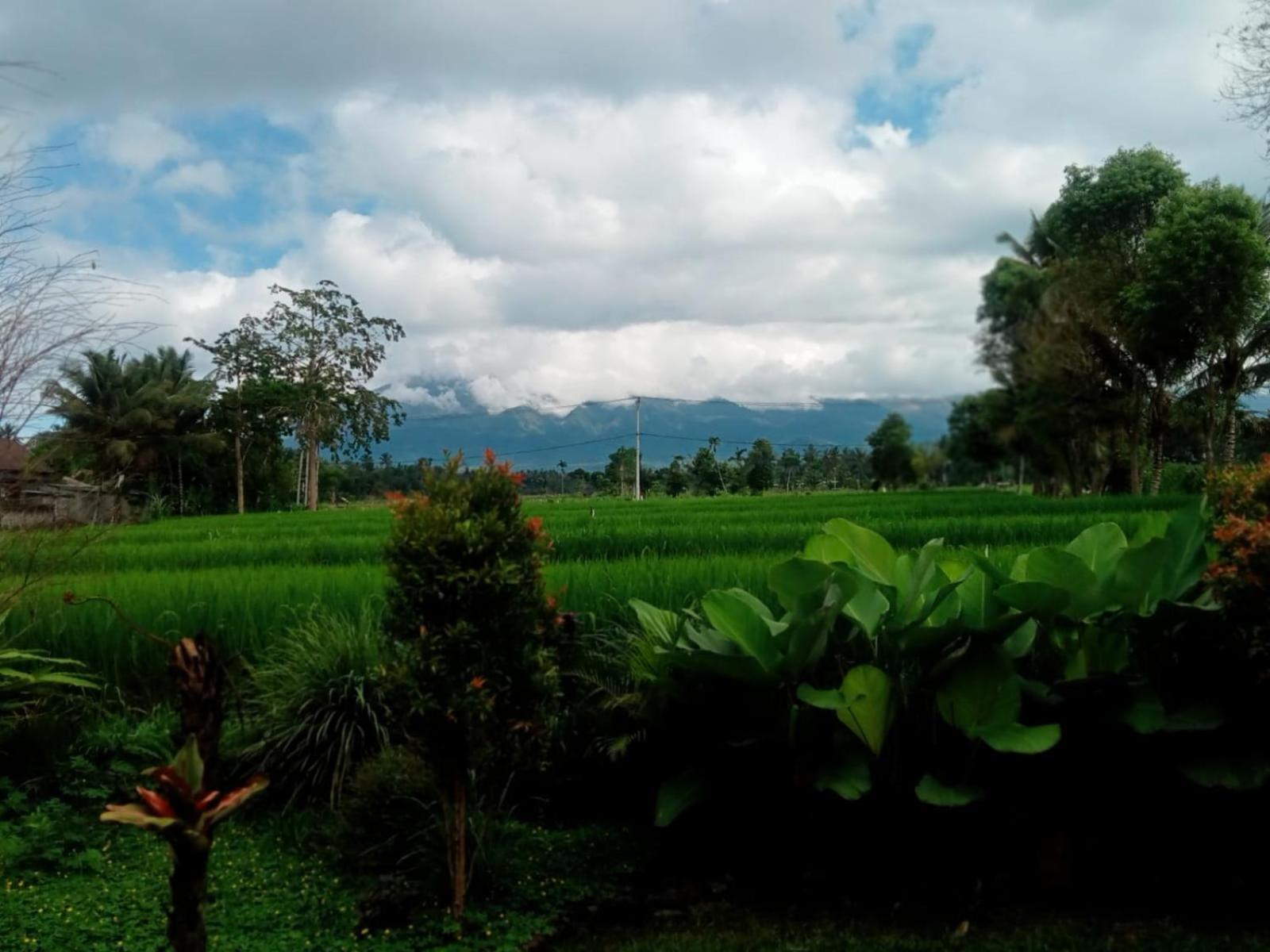 New Rinjani Homestay Tetebatu Room photo