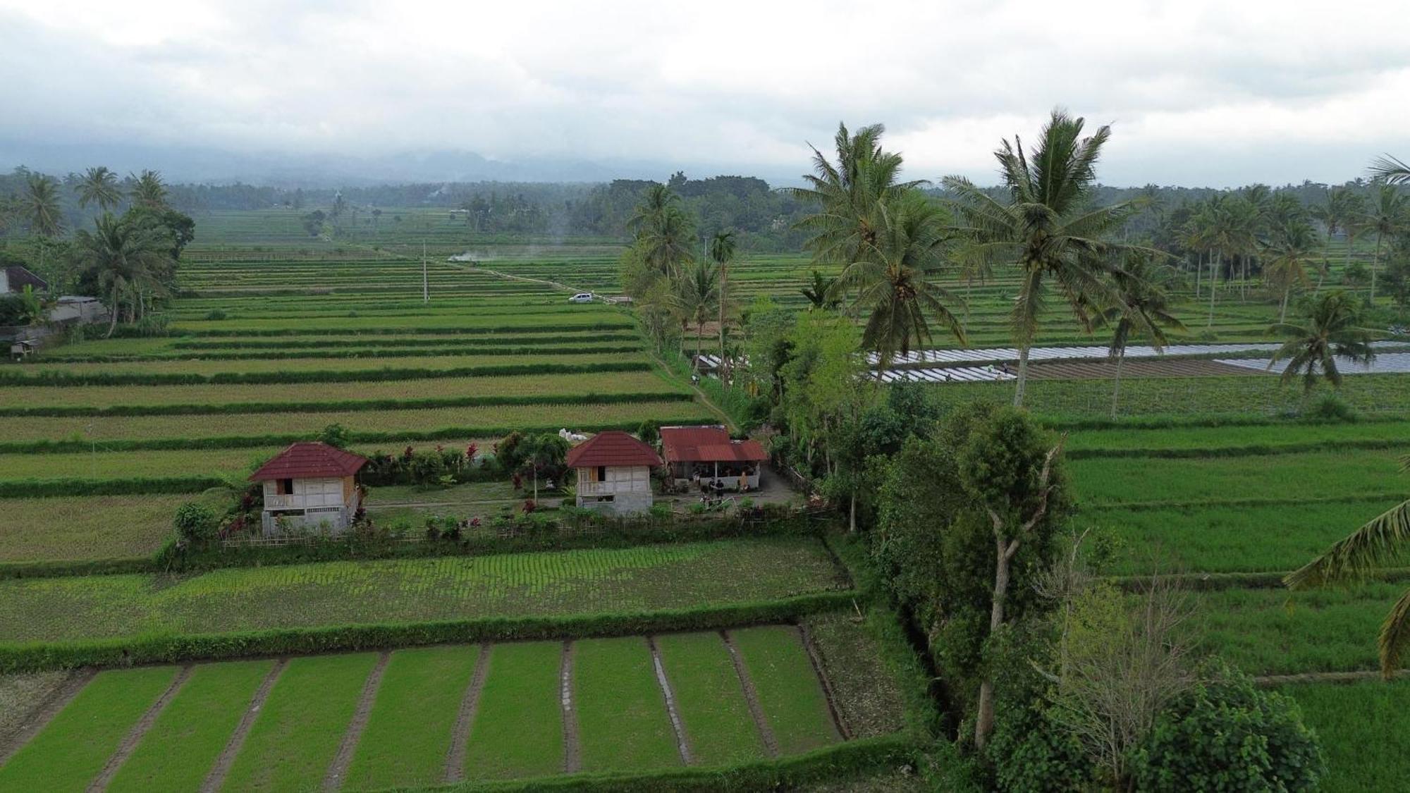 New Rinjani Homestay Tetebatu Exterior photo