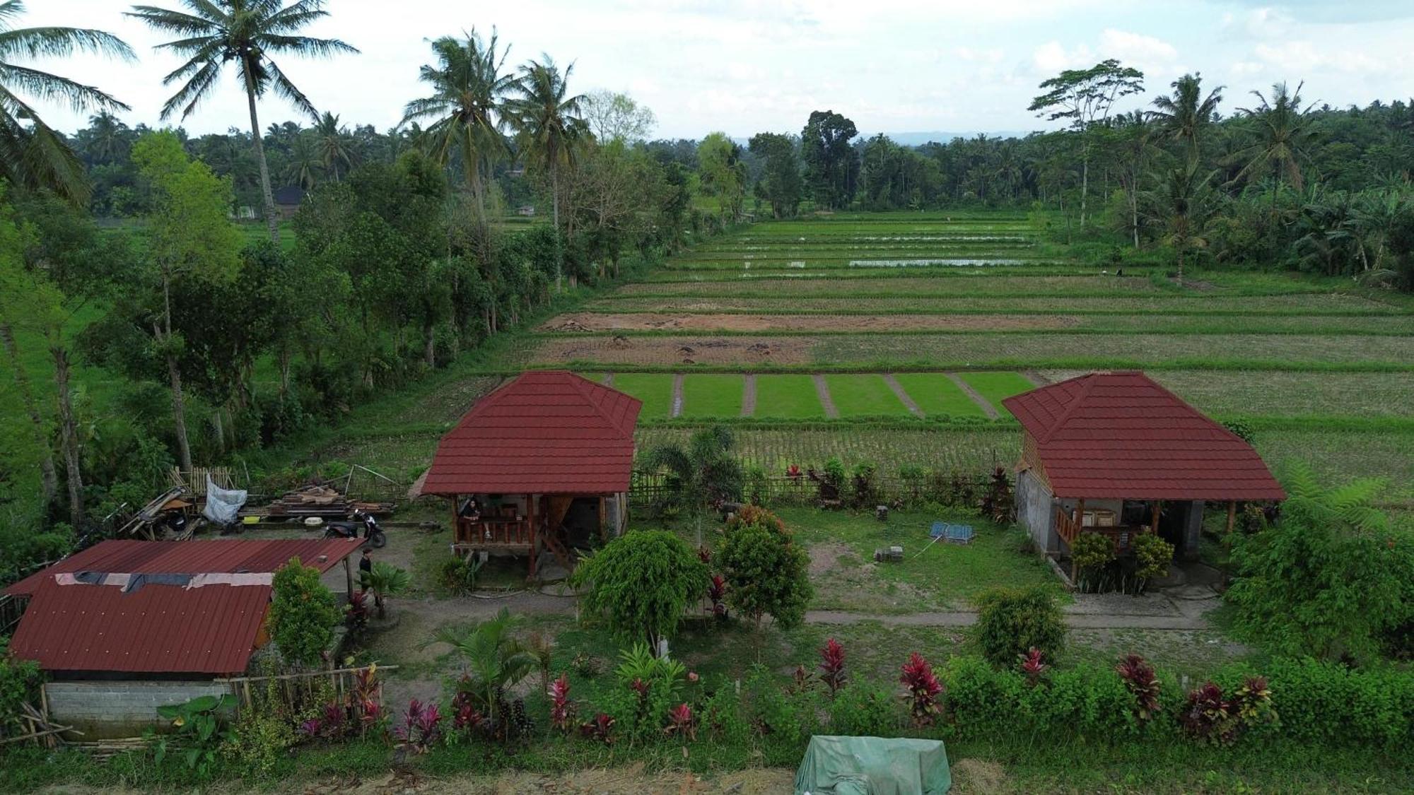 New Rinjani Homestay Tetebatu Exterior photo