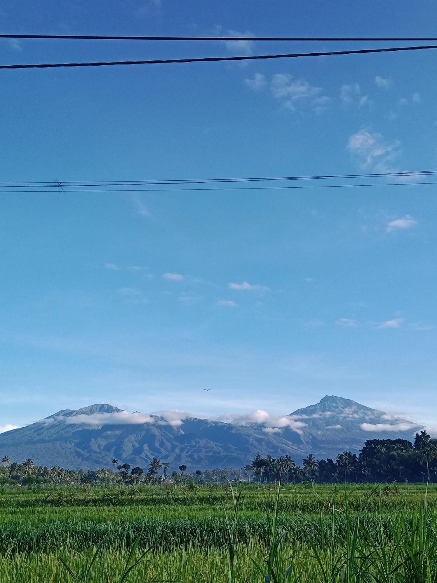 New Rinjani Homestay Tetebatu Exterior photo