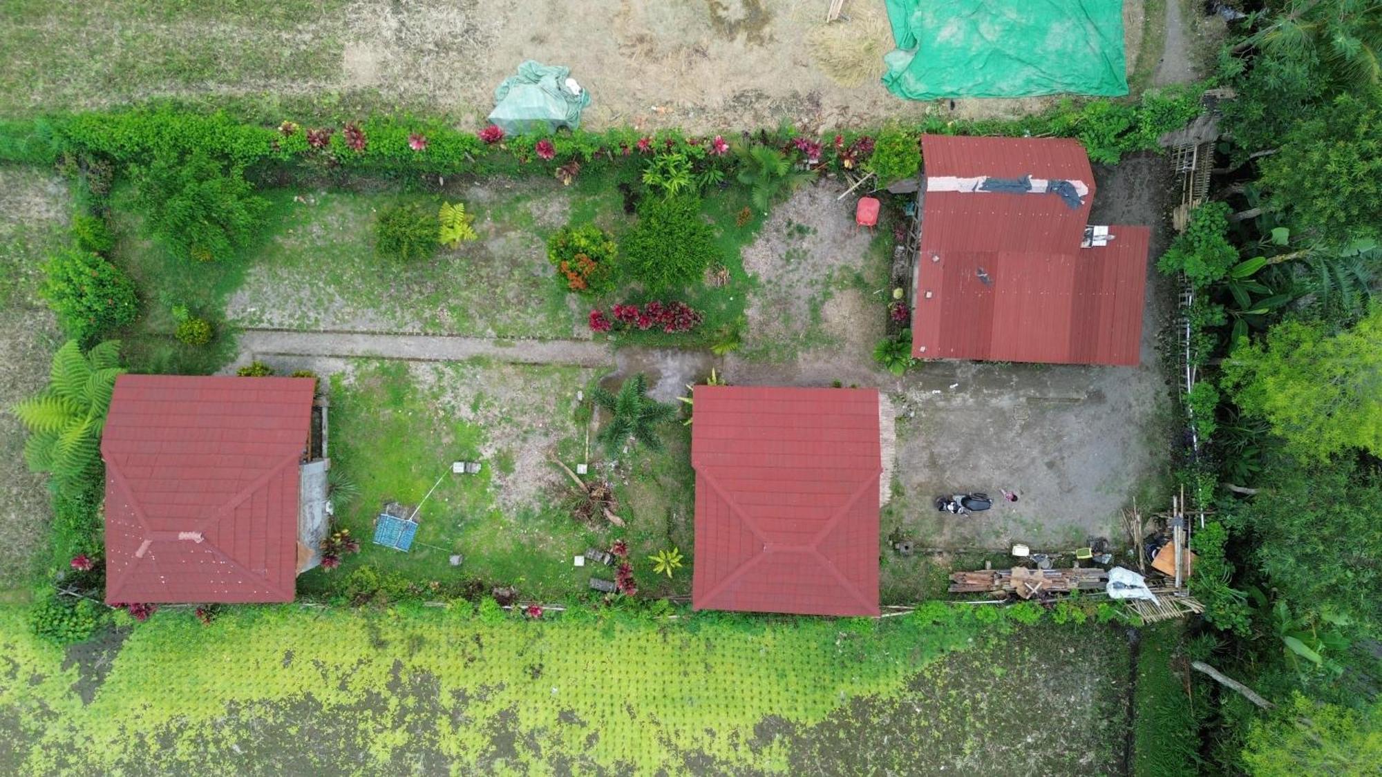 New Rinjani Homestay Tetebatu Exterior photo